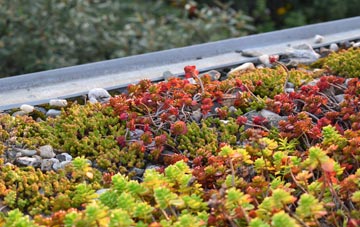 the cost of Broad Tenterden green roof installation