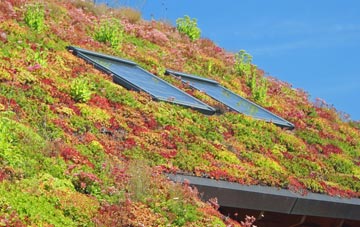 Broad Tenterden living roof systems