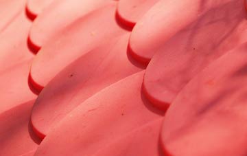 Broad Tenterden plastic roof costs