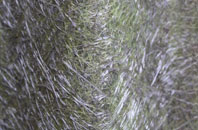 Broad Tenterden fibreglass roof work